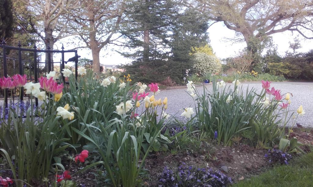 Twin Oaks Bed & Breakfast キルケニー エクステリア 写真