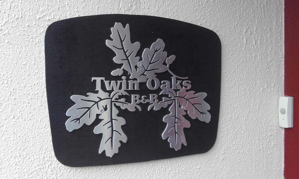 Twin Oaks Bed & Breakfast キルケニー エクステリア 写真