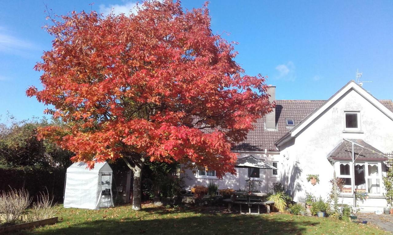 Twin Oaks Bed & Breakfast キルケニー エクステリア 写真