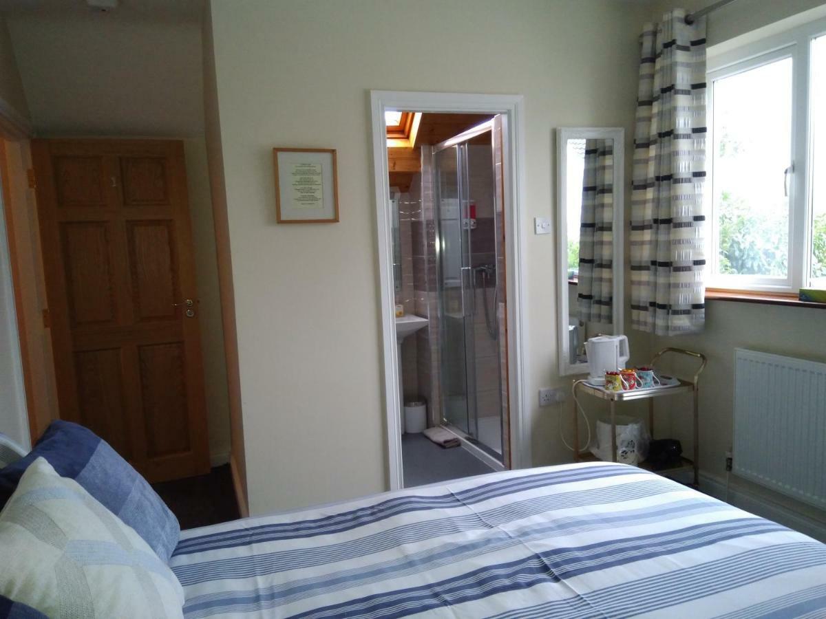 Twin Oaks Bed & Breakfast キルケニー エクステリア 写真