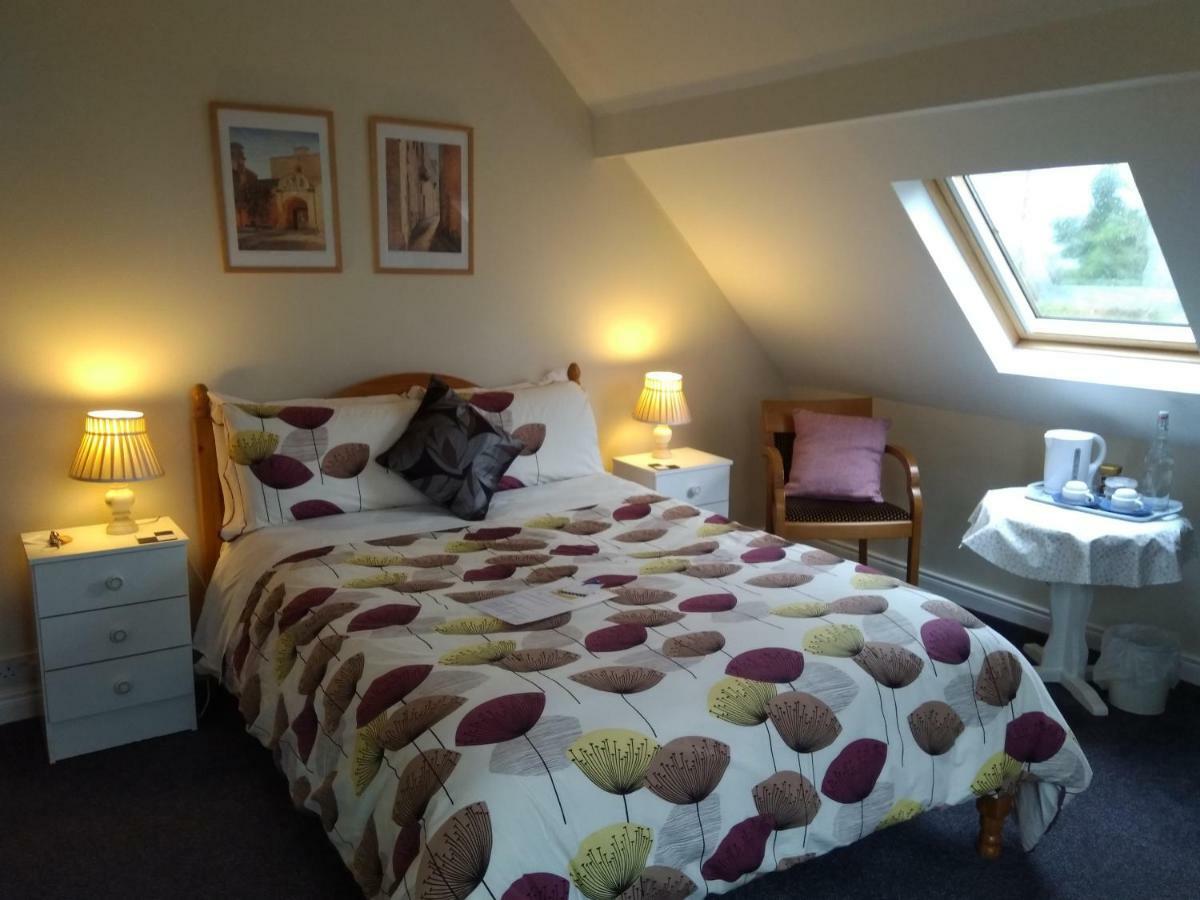 Twin Oaks Bed & Breakfast キルケニー エクステリア 写真