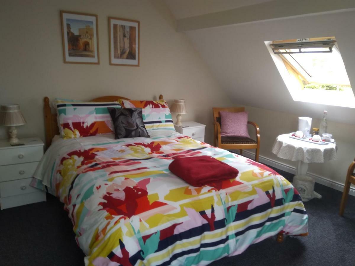 Twin Oaks Bed & Breakfast キルケニー エクステリア 写真